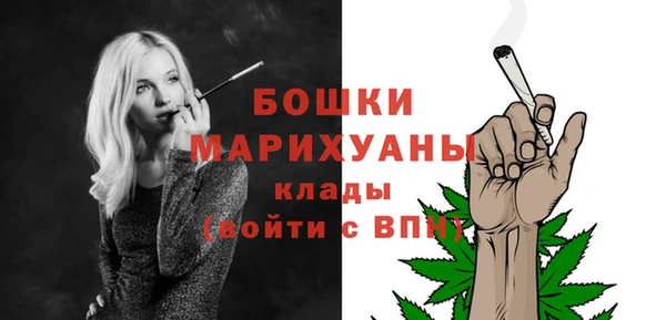 дмт Ельня