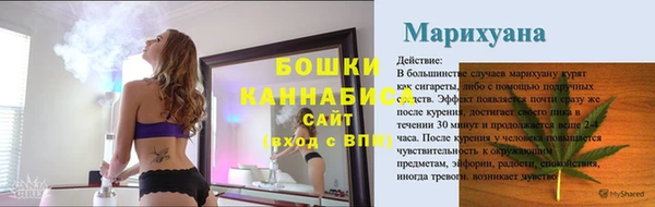 дмт Ельня