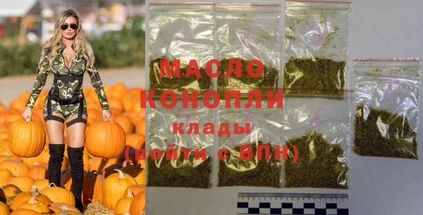 дмт Ельня