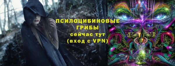 дмт Ельня
