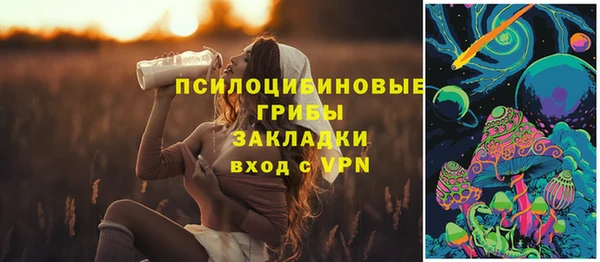дмт Ельня