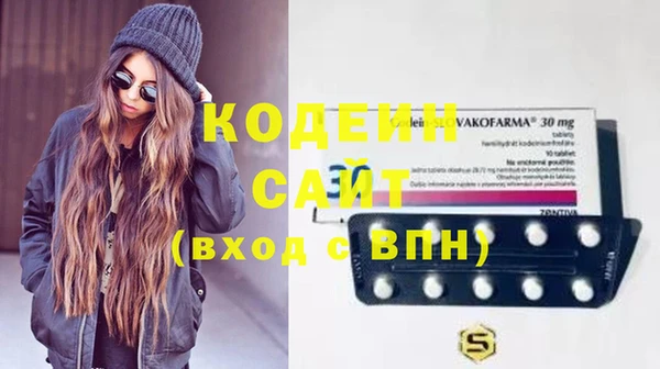 дмт Ельня