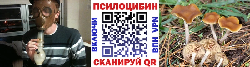 Купить закладки  Плёс  Псилоцибиновые грибы GOLDEN TEACHER 